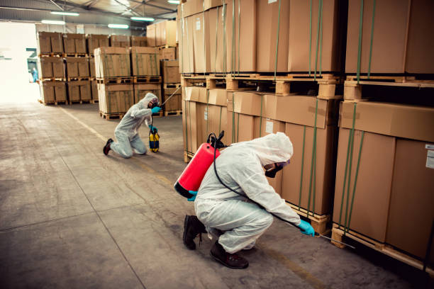 Best Best Pest Control Companies  in Sayre, PA