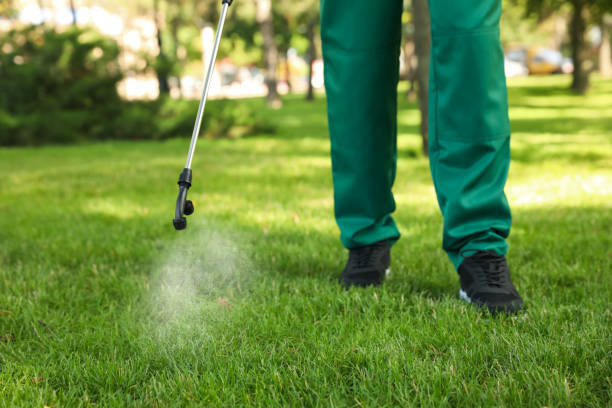 Flea Control Services in Sayre, PA