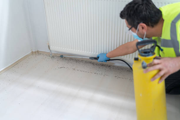 Best Mosquito Control Services  in Sayre, PA