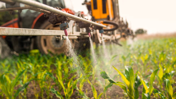 Best Pest Control Treatment  in Sayre, PA